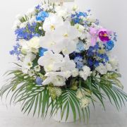 おまかせ 20,000円
(斎場にてスタンド花として納品)